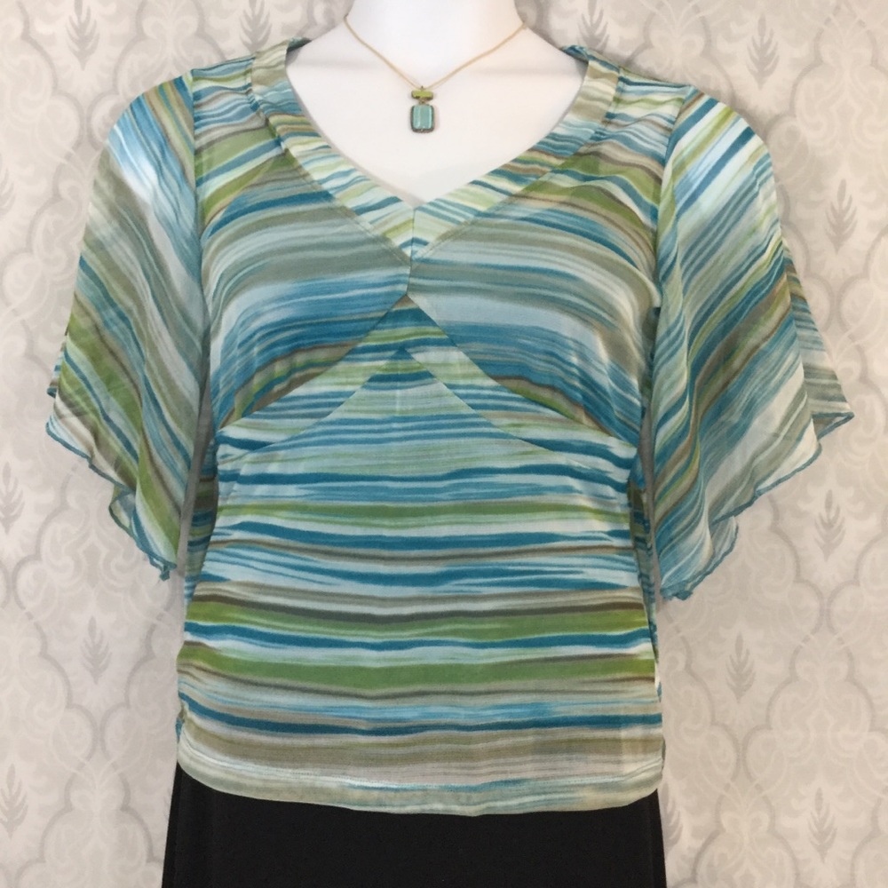 NWT New York & Co Sheer Vneck Top W. Cami 2pc Set